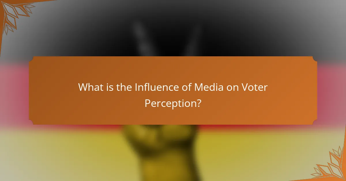 What is the Influence of Media on Voter Perception?