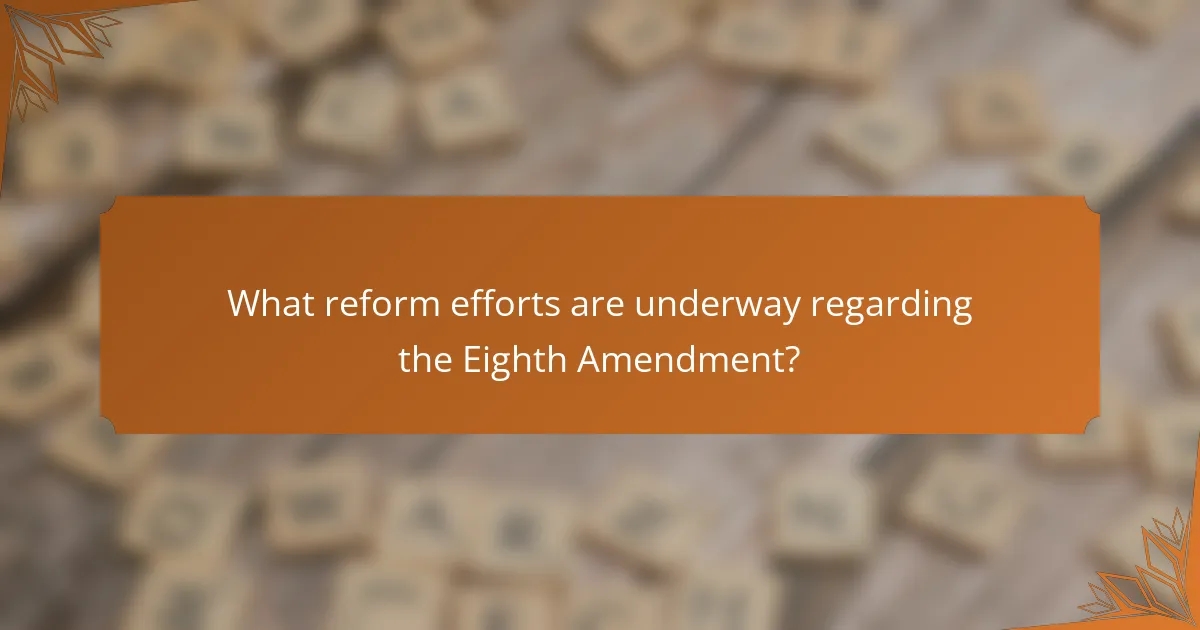 What reform efforts are underway regarding the Eighth Amendment?
